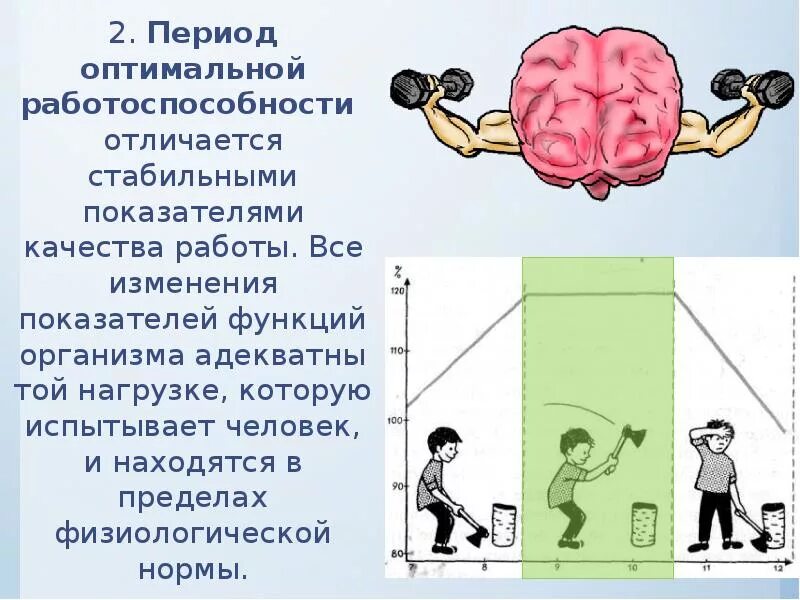 Возраст активной деятельности человека