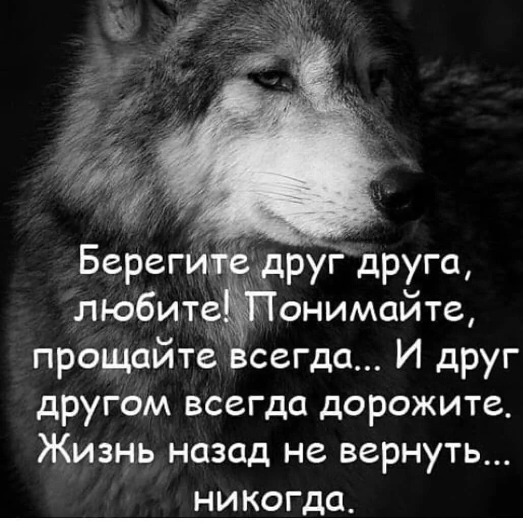 Всегда поймешь