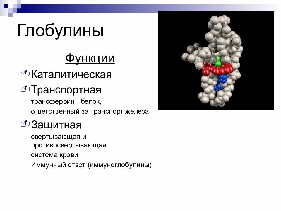 Глобулин это. Функции глобулинов в крови. Альфа 1 глобулины функции. Альфа глобулины функции. Глобулины функции.