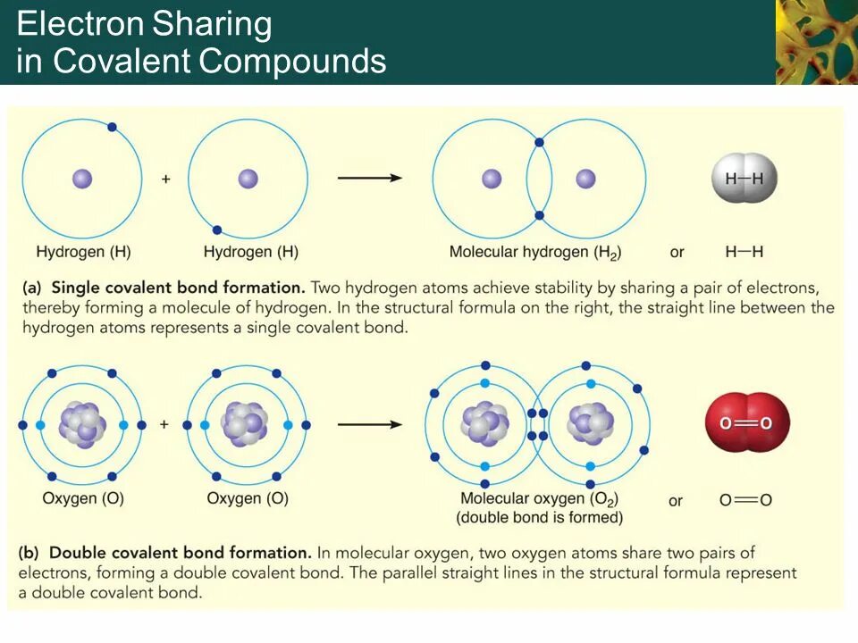 Covalent Bond Electron density. Electron Bond formation. Атом 2he4. Chemical basis of Life. Атомы второй группы