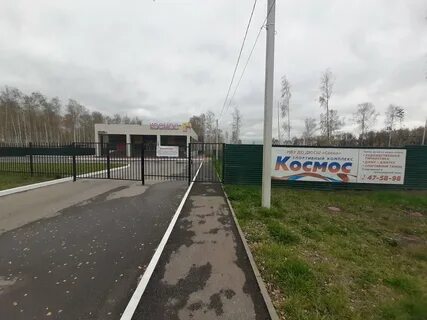 Сокол рязань