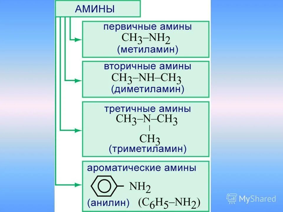 Азотсодержащие соединения амины