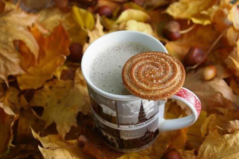 Осеннее настроение. Осень кофе. Книги про осень. Чашка чая осень. October morning.