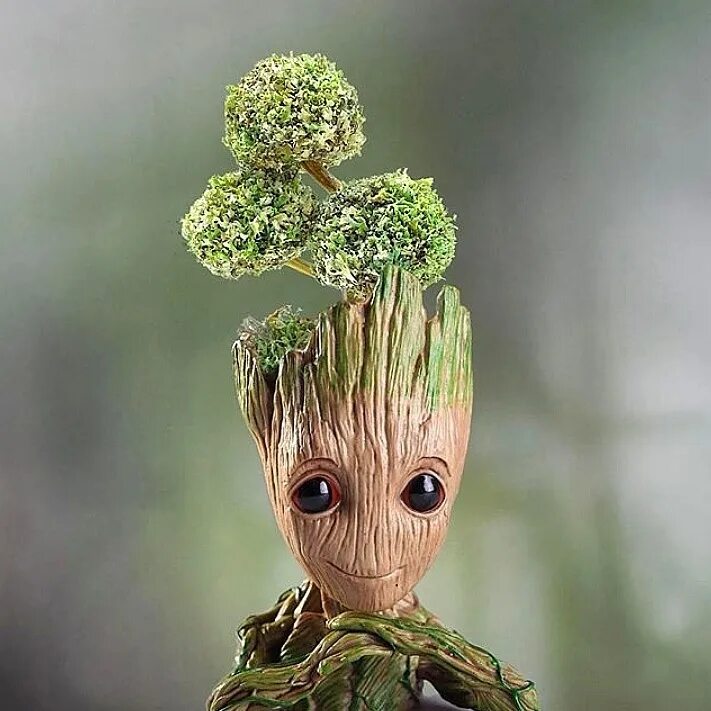 Грут из стражей галактики. Стражи галактики грут маленький. Droom groot joost. Грут смерть. Грут марвел.