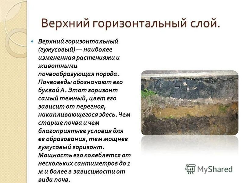 почему гумусовый горизонт имеет более темный цвет