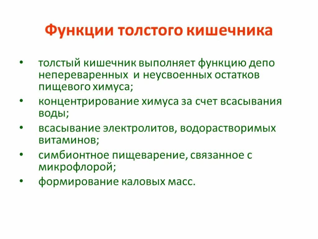 Какие функции толстого кишечника. Основная функция Толстого кишечника. Функции Толстого кишечника кратко. Толстый кишечник выполняет функции. Основные функции Толстого кишечника.