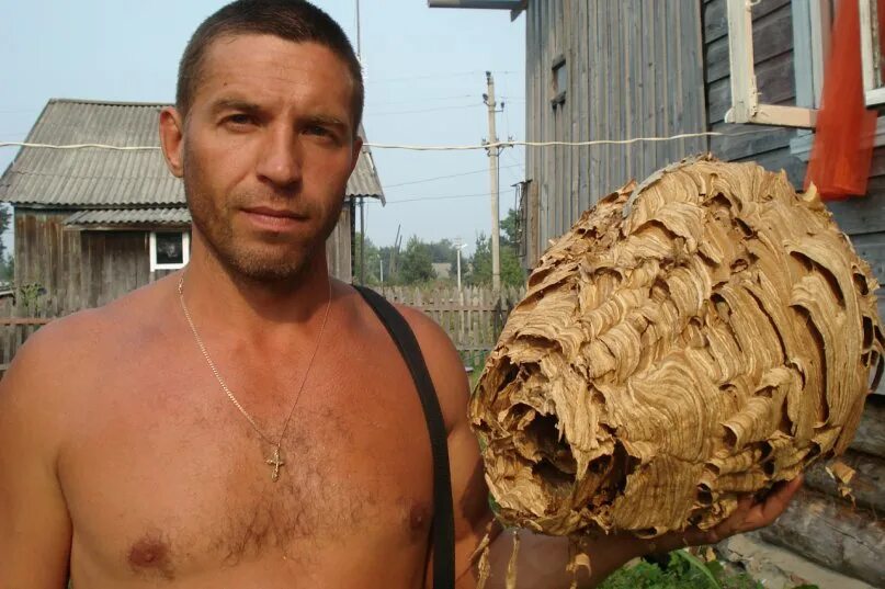 Антоха антуфьев северодвинск. Антоха антуфьев северодвинск. Антоха антуфьев северодвинск. Антоха антуфьев северодвинск. Антуфьев художник.