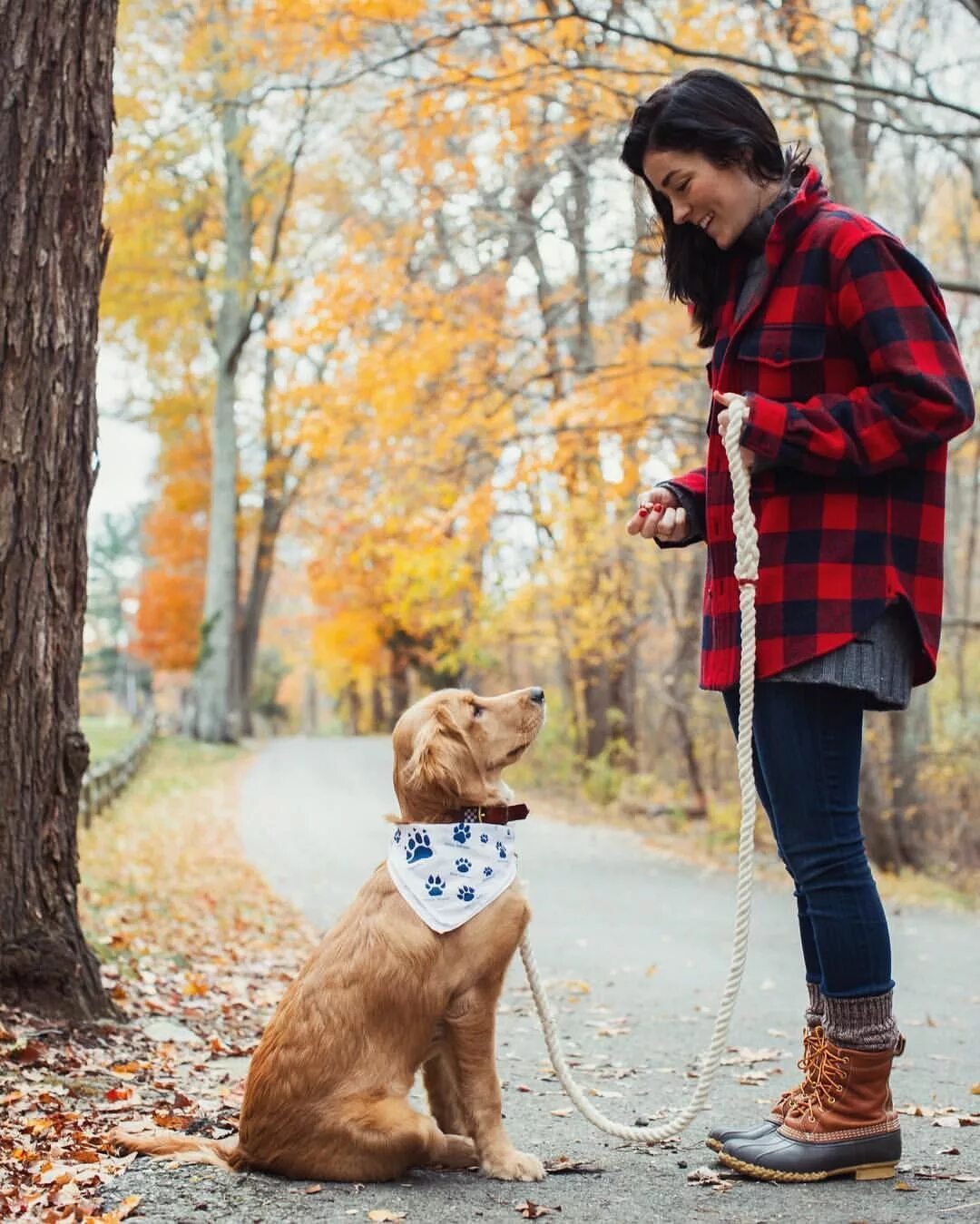 Dog Photography Dog photography poses, Dog photoshoot, Dog photoshoot pet photog