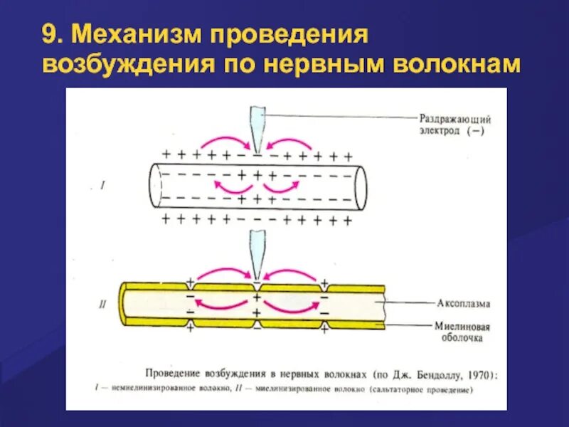 Распространение пд