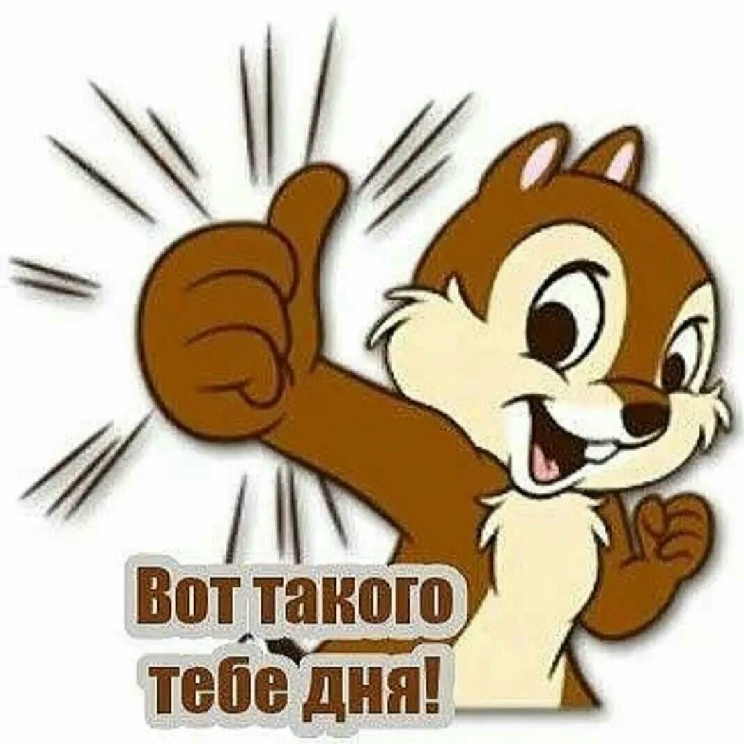 Такую вот как ты. Вот такого тебе дня. стикеры с добрым. стикер хорошего дня. стикеры приветствия.