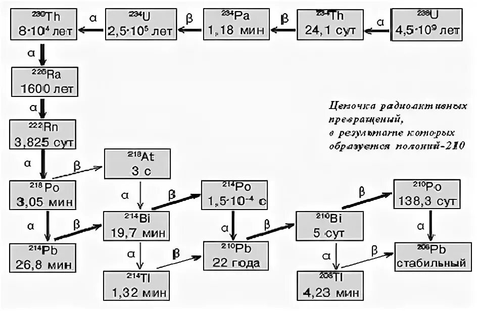Распад np. Схема распада тория 232. Цепочка радиоактивного распада урана 238. Схема Цепочки радиоактивного распада. Схема распада Полония 210.
