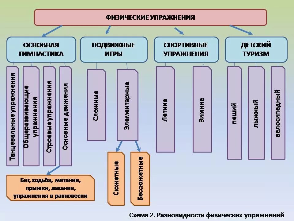 Виды физических упражнений. Классификация физических упражнений таблица. Основные классификации физических упражнений. Физические упражнения основное средство физического воспитания.