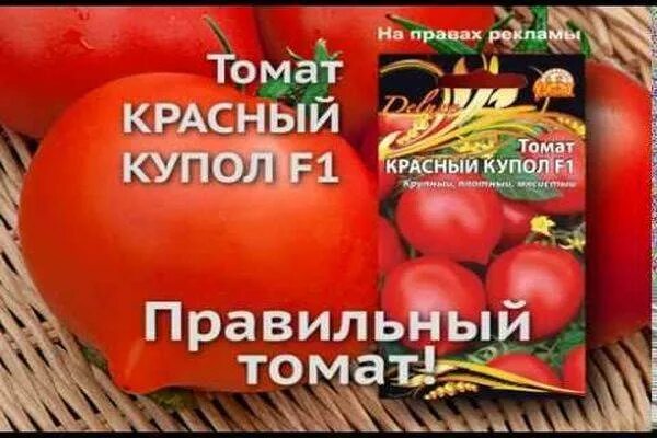 Сорт томатов золотые купола отзывы. Томат красный купол f1. Томат золотые купола Сибирский сад. Помидоры Янтарный купол. Сорт помидор красные купола.