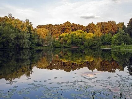 Озеро серебряного Бора фото - Milye-Kartinki.ru