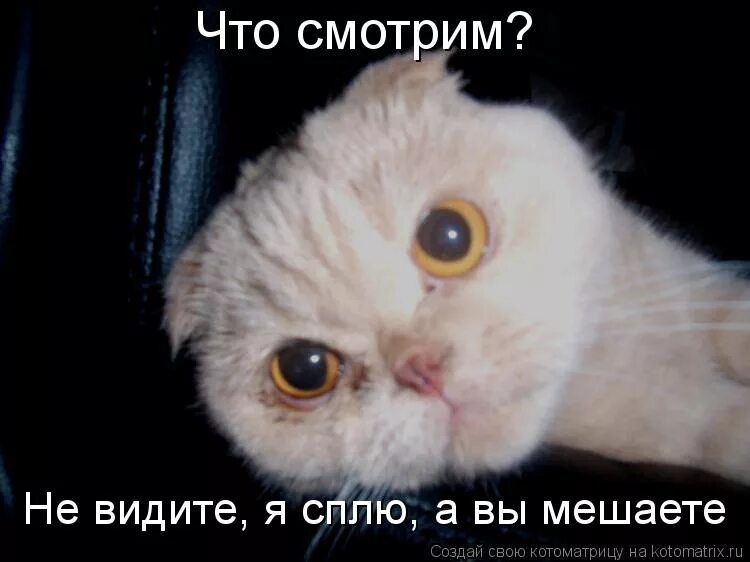 Спала никому не мешала