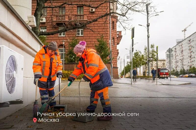 Дорожник московский пр 11 отзывы. Дорожник московский пр 11 отзывы