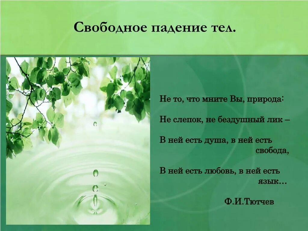 Не то что мните вы природа тютчев. Стих в ней есть душа в ней есть свобода. стихотворение тютчева не то что мните вы природа. не то что мните вы.