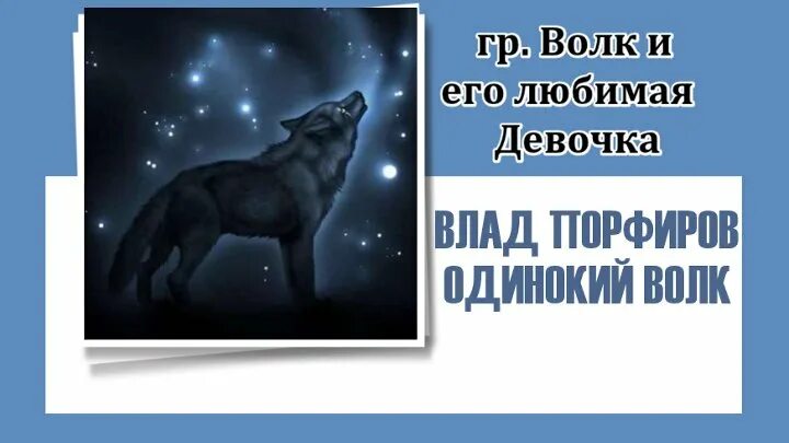 Влад порфиров одинокий. Песня волчонок в тайге. Порфиров одинокий волк. Слушать песню одинокий волк порфиров. Првррфиеров один окийц втлк.