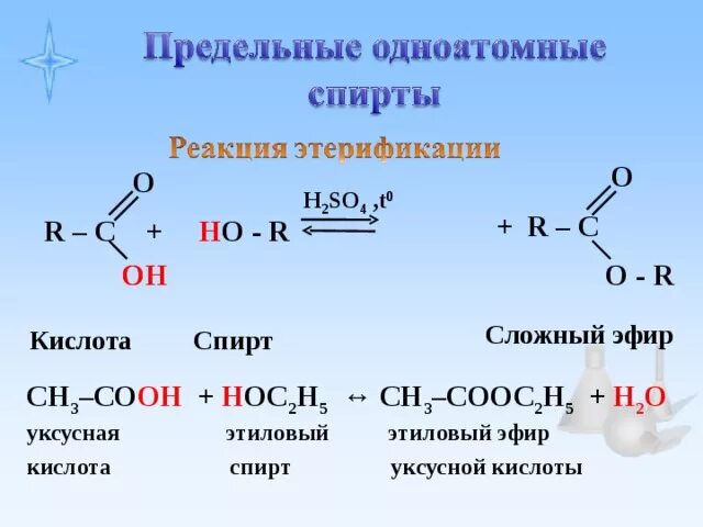 Этерификация предельных одноатомных спиртов. Реакция этерификации предельных одноатомных спиртов. Сложный эфир образуется при взаимодействии этанола с