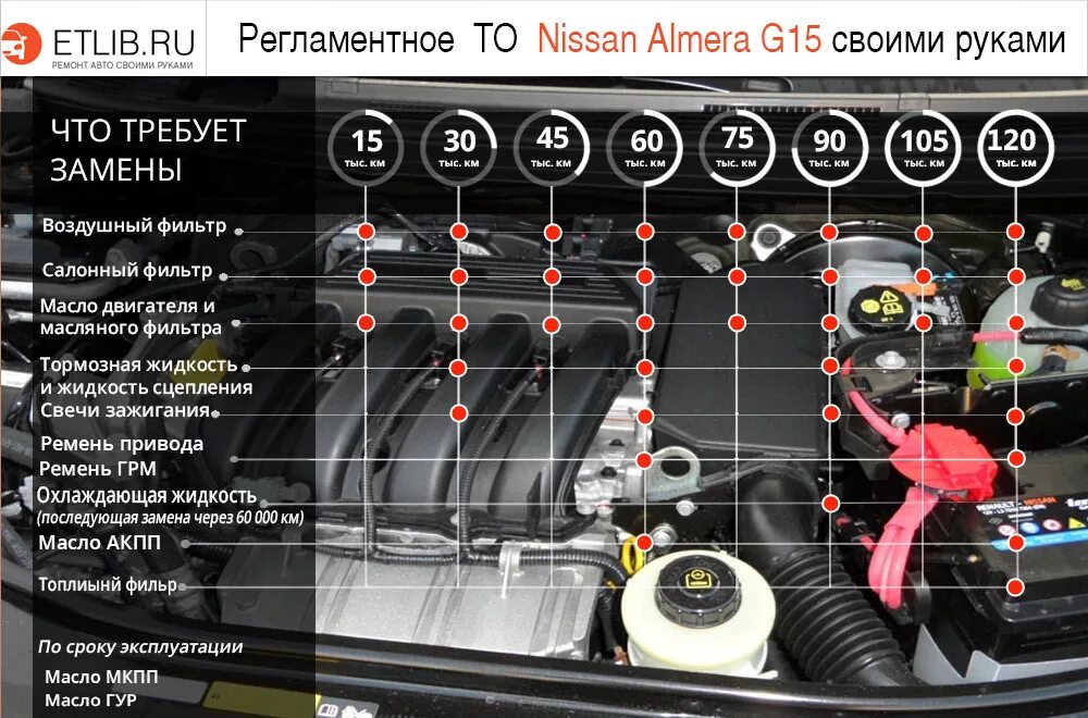 Регламентное обслуживание автомобиля. Регламент то Ниссан Альмера g15. Nissan Almera g15 регламент то. Техобслуживание автомобиля Ниссан Альмера g15. Техническое обслуживание Nissan Almera g15.