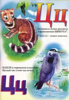 Живая азбука животных