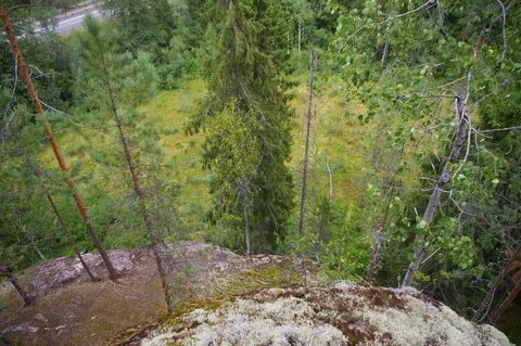 Поселок возрождение ленинградская область выборгский