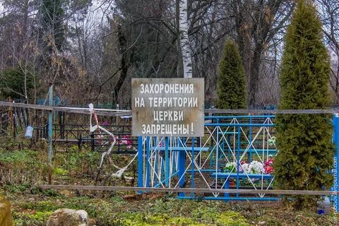 Погода в селиваново