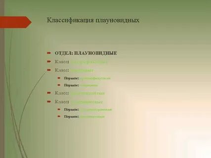 Систематика отдела
