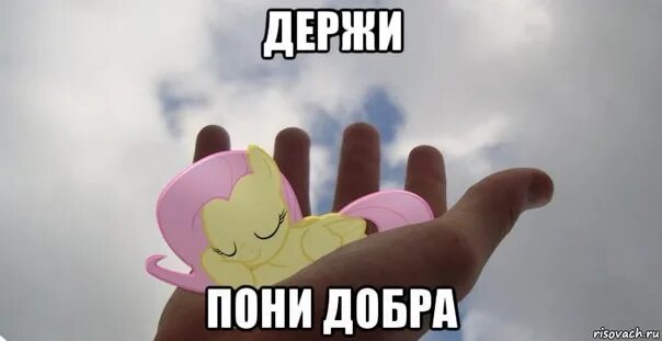 Мем всем добра. Добрый мем. добрые мемы. добрые мемамы. лучи добра.