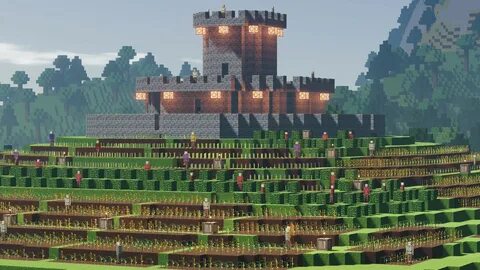 Colony survival