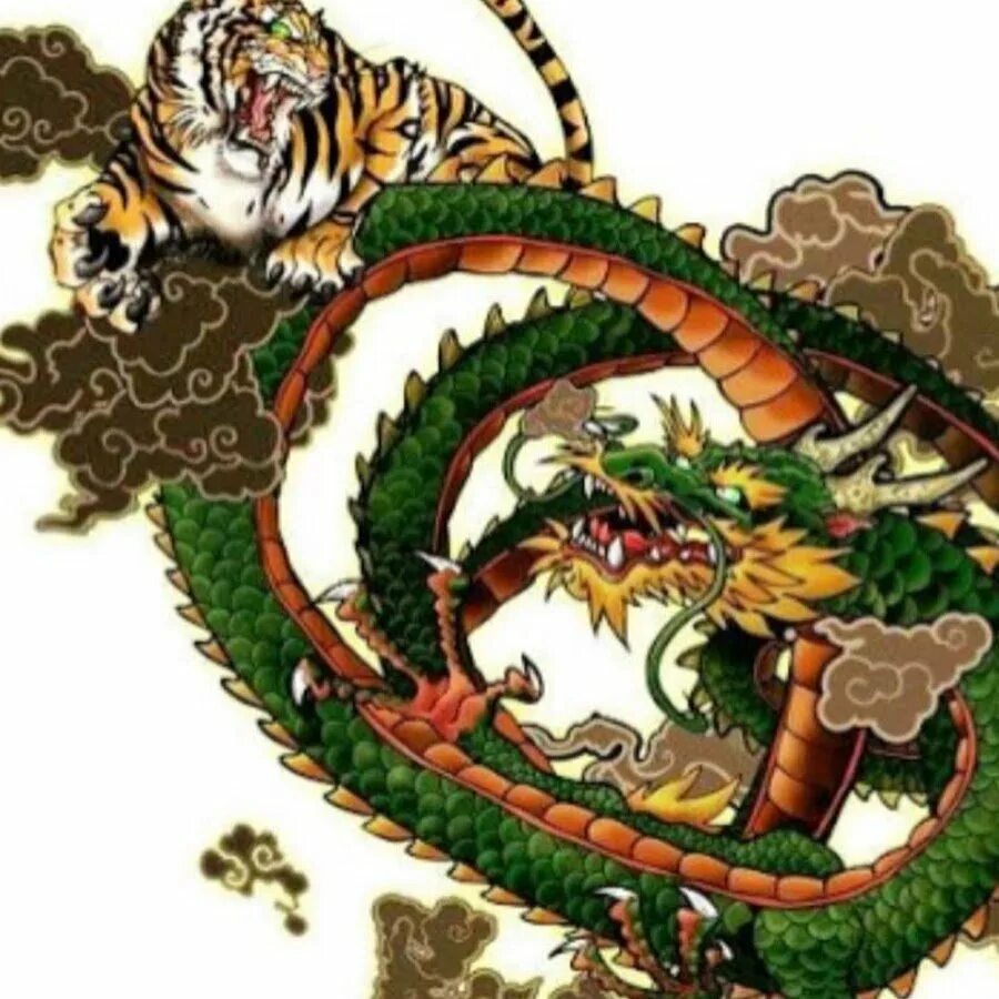Дракон и Тайгер. Тигр и дракон. Китайский дракон. Дракон и тигрица. Мужчина змея и тигр