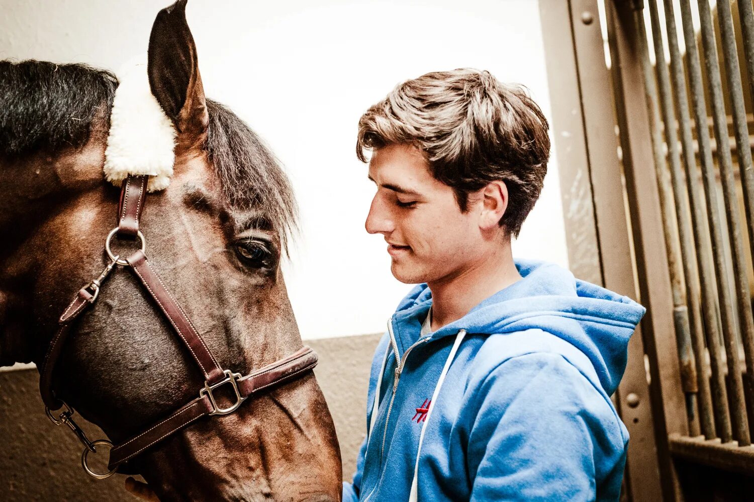 Brother horse. Лучшие друзья лошадь и человек. Арабская лошадь. Human horse ride challenge. Two brother and horse.