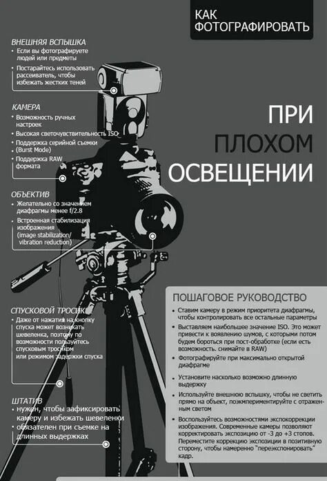 Новость фотографа: Чапаева Амина 11.02.2018