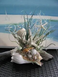Sea ideas