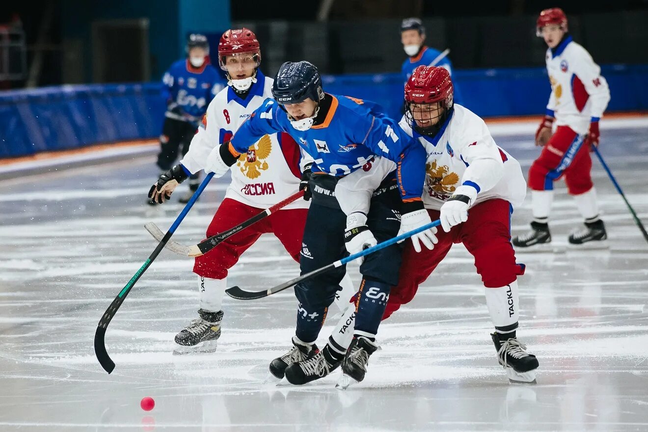 Bandy хоккей с мячом. Хоккей с мячом на льду. Хк СДС хоккей с мячом. Русский хоккей с мячом.