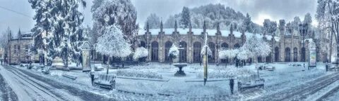 Winter gallery