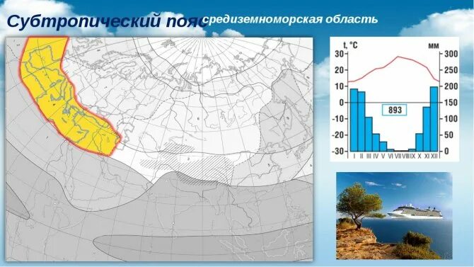 Субтропический климатический пояс на карте России. Субтропический пояс России на карте России. Субтропический климат в России на карте России. Субтропики на климатической карте.