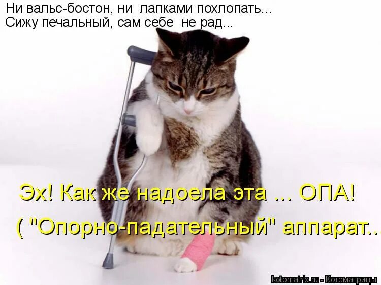 ни сплетни света ни бостон гдз. упражнение по русскому 11 класс. ни солнца мне не виден. расставь знаки препинания. повсюду на улицах в ресторанах в театрах.