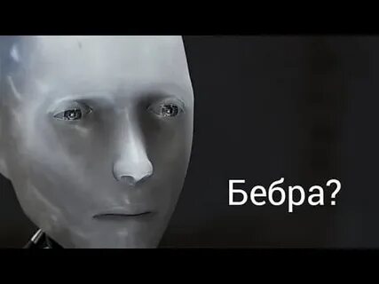 Бебра отзывы