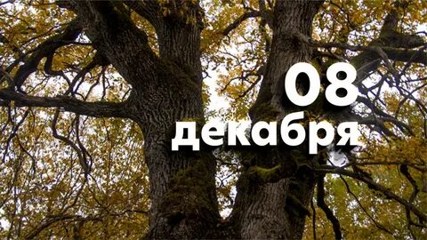 Встреча 8 декабря
