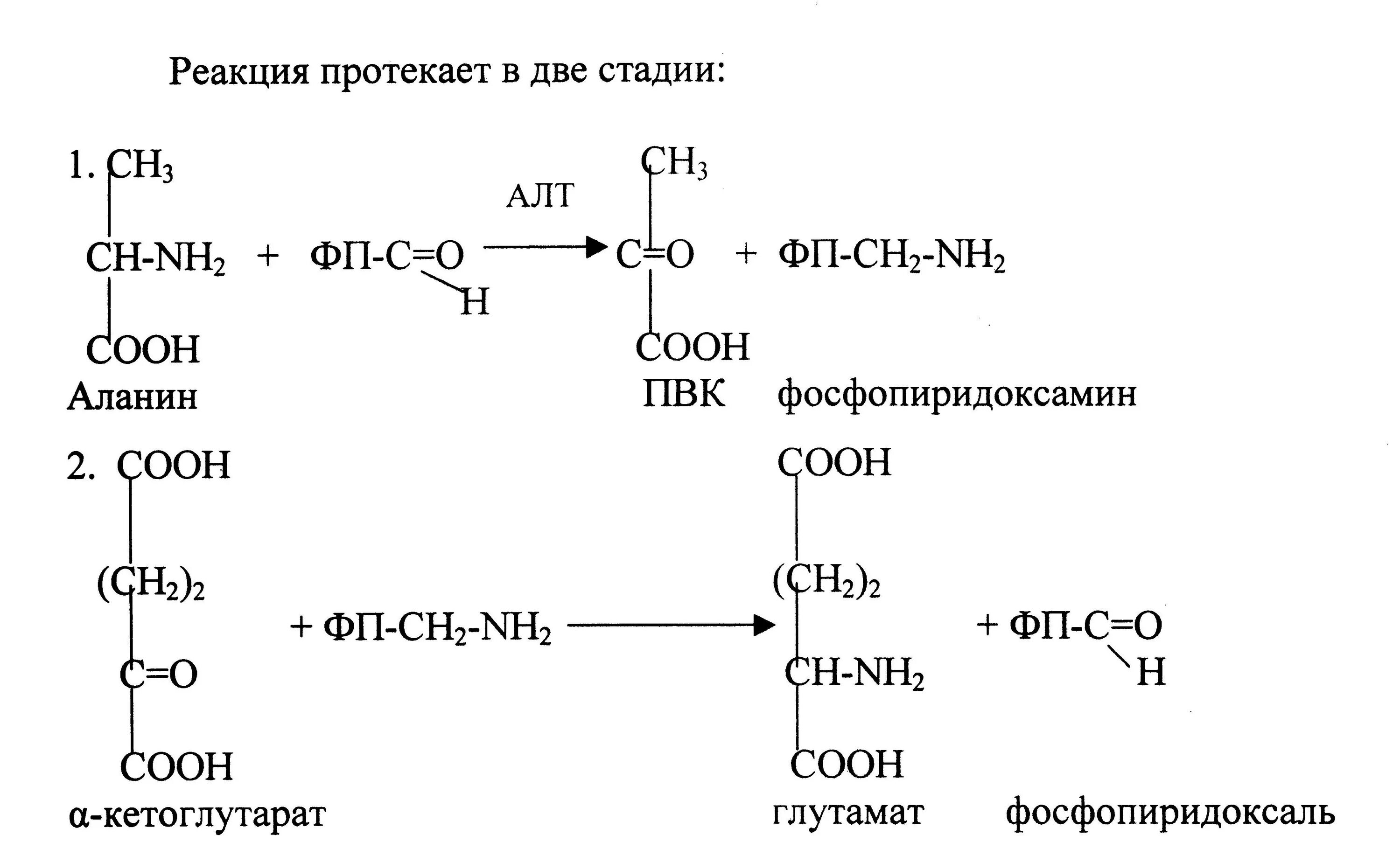 Формулы веществ с которыми реагирует аланин
