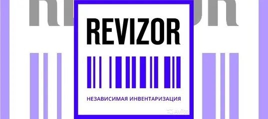 Ревизор оплата ежедневно. Компания Ревизор независимая инвентаризация. Счетчик Ревизор. Счетчик-Ревизор на инвентаризацию. Ревизор Москва компания.