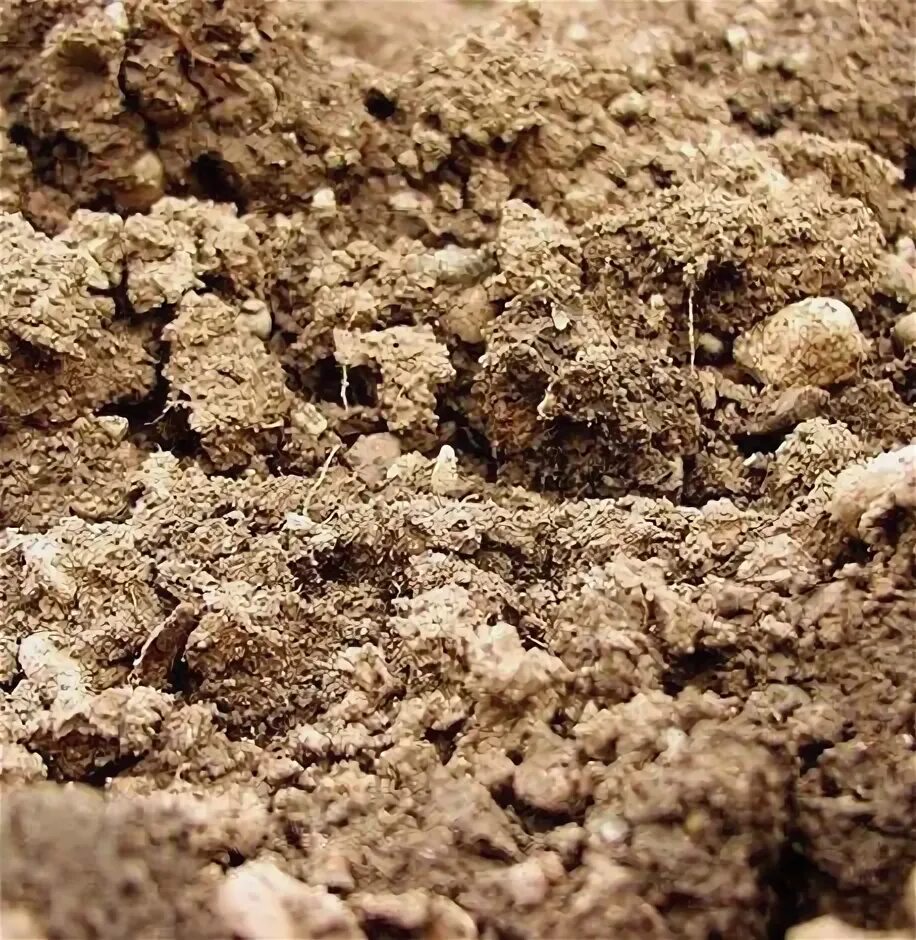 Известковая почва. Супесь песчаная. Воск для древесины. Масло для террас 2,5л 021. Суглинистая почва.