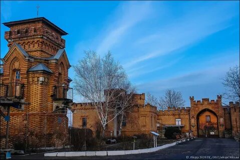Город васильевка