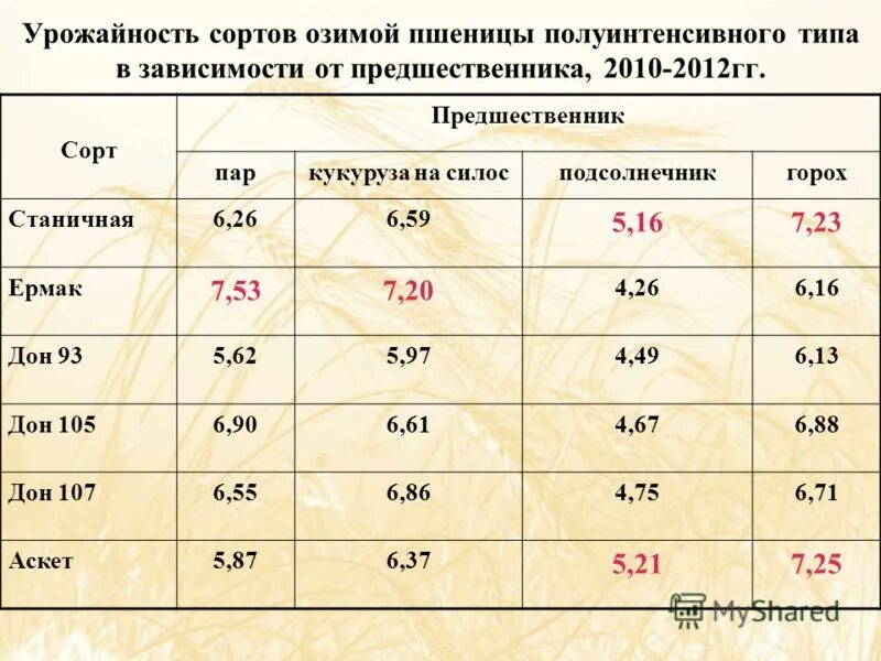 Урожайность озимой пшеницы. Средняя урожайность озимой пшеницы. Озимая пшеница урожайность таблица. Предшественники озимой пшеницы. Какова урожайность пшеницы