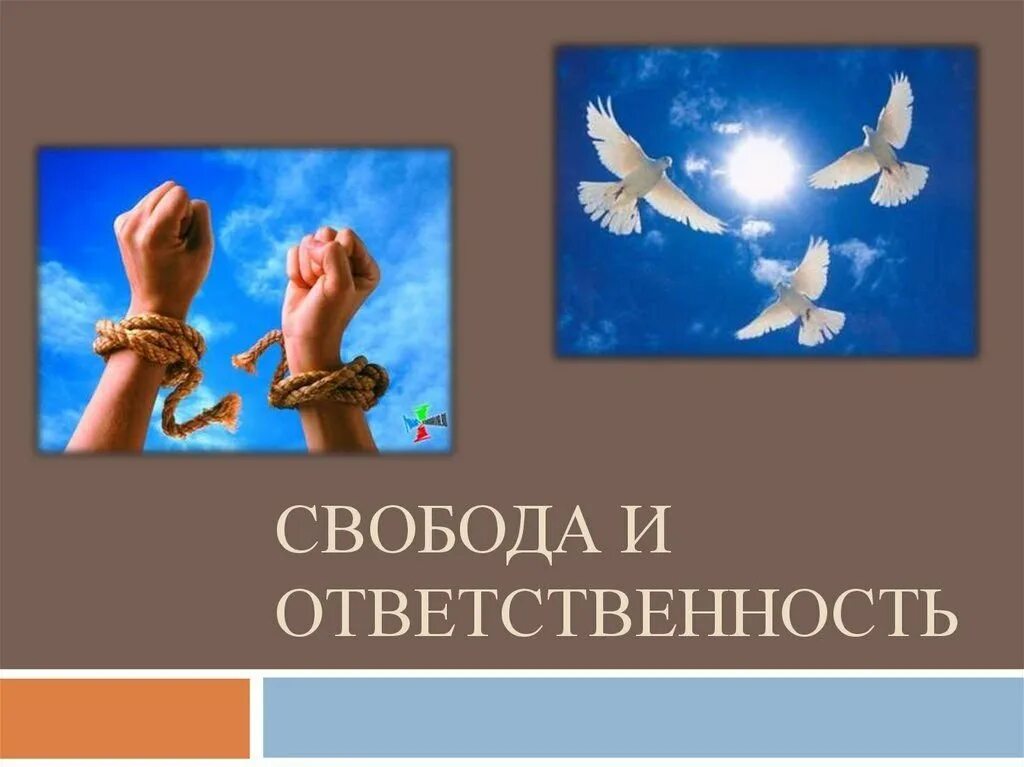 Доклад на тему свобода. Свобода и ответственность. Свобода выбор ответственность. Свобода и ответственность презентация. Гражданин Свобода и ответственность.