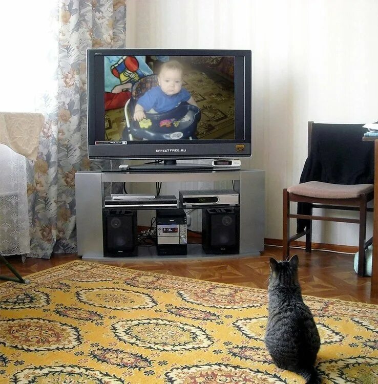 Телевизор дома. Старый телевизор в комнате. Телевизор в домашней обстановке. Обычная комната с телевизором.