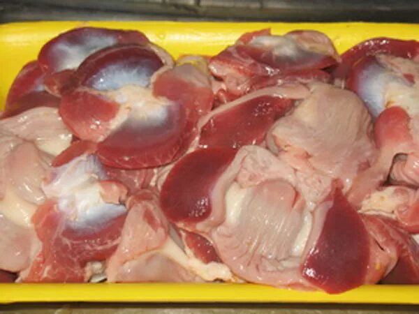 желудки троекурово. миокард сердца анатомия. мышечный слой желудочка. печень цыпленка бройлера охл подложка 500г акашево. мышцы предсердий и желудочков.