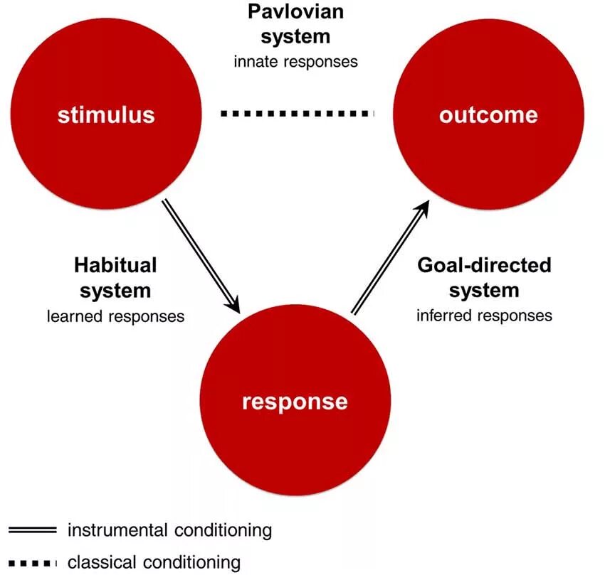 Context response. Pavlovian response. stimulus response. classical conditioning stimulus. demand response презентация.