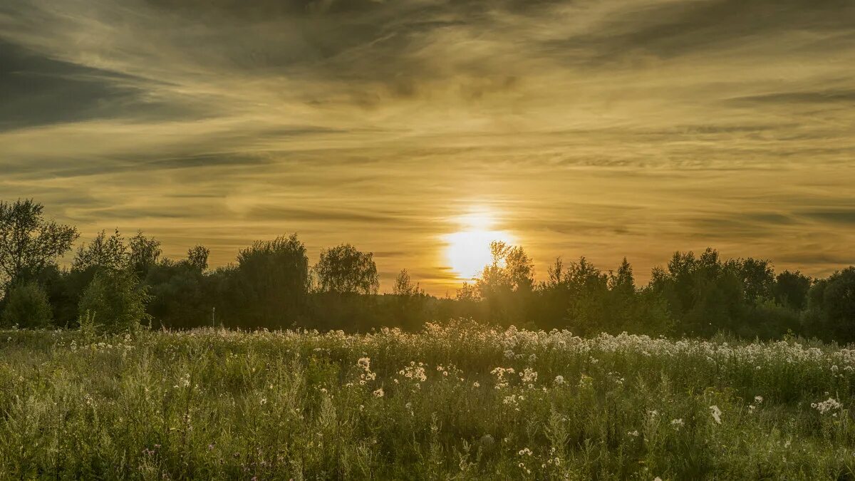 рассвет над озером. затишье и солнце. рассвет на озере. безмолвие природы. тишина восхода.